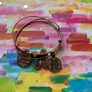 Alex and Ani bracelet
